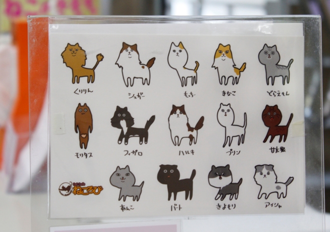 Menu of cats the day we visited.